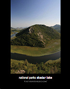 Skadar lake